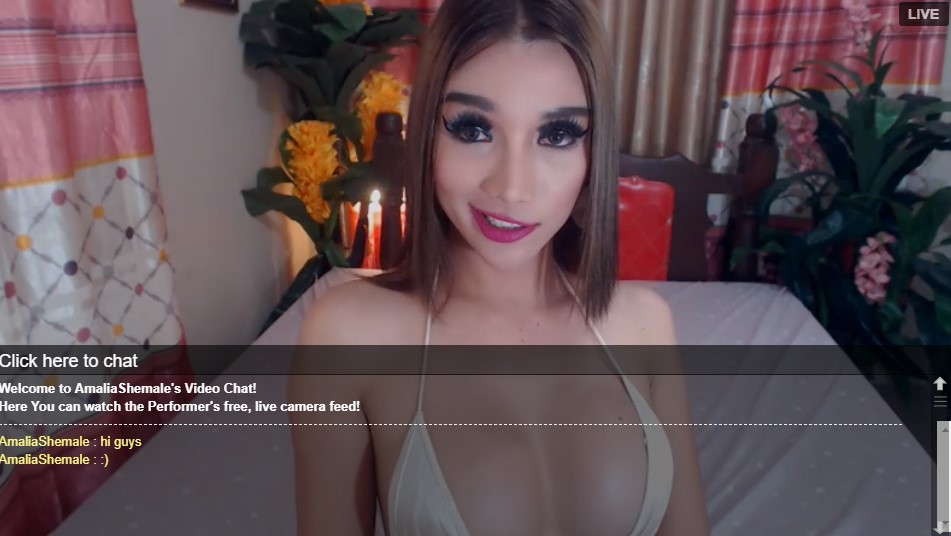 Find your cute shemale for live sex